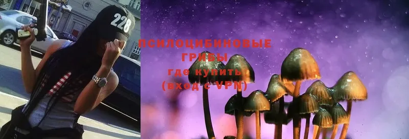 Галлюциногенные грибы Psilocybine cubensis  Омск 